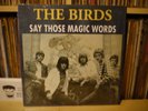 THE BIRDS - SAY THOSE MAGIC WORDS - RARE VINYL 12