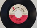 RARE The Knights - Moon Beam / Lonely by the Sea 1965 Red Feather Surf 45