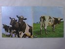 Pink Floyd Atom Heart Mother Harvest EMS-80320 Japan  VINYL LP