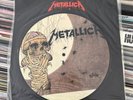 METALLICA One / Seek And Destroy (live) 10