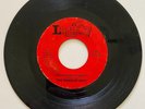 THE RAINDEAR ARMY UBTERRANEAN SUNSET ILLINOIS PSYCH GARAGE 45RPM RECORD 7