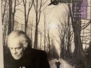 SANCTUARY Into the Mirror Black. Vinyl LP 1990 USA Release.