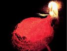 Euroshima - Gala  [VINYL]