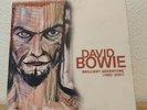 DAVID BOWIE : BRILLIANT ADVENTURE ( 1992-2001 ) Vinyl Box Set (Beschreibung)