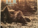 R.E.M. Murmur LP Original I.R.S. STERLING w/inr sp70604 REM NM