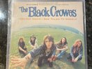 The Black Crowes UK Import Jealous Again/She Talks To Angels 12” Vinyl Record