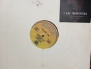 MORTAL SIN I Am Immortal VINYL Single Vertigo Records 12”