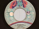 Peru Latin Sweet Soul Psych 45 TRAFFIC SOUND Suavecito SONO RADIO Hear  MALO