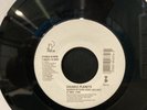 DIGABLE PLANETS Jukebox 7
