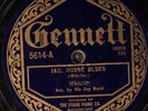 Whistler & His Jug Band GENNETT 5614 V 