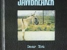 Jawbreaker Dear You (Vinyl)