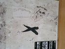 NXWORRIES (ANDERSON.PAAK & KNXWLEDGE) - YES LAWD    Vinyl