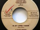 4 HAVEN KNIGHTS 45 In My Lonely Room / Im Just A Dreamer JOSIE doowop  Kz 1083