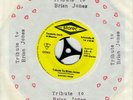 Tribute to Brian Jones - Electric Frogs, Single, 7'', 45 RPM, 1969