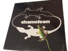 New CHAMELEON SELF TITLED MINT GLOSSY VINYL 1981 Band LP Rock Platinum Yanni Aor