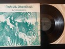 The Dimensions – From All Dimensions Vinyl LP - 1966 - Rare Garage Rock