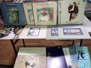 CAT STEVENS 14 LP lot:Tea for the Tillerman,Teaser Firecat Foreigner,Matthew Son