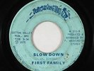Funk/Sweet Soul 45 - First Family - Slow Down - Washington - mp3