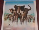 Elvis Costello - Armed Forces, Mobile Fidelity MoFi 180g MFSL 1-331 VG++/VG++