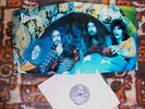 MINT 1970 Orig DEMIAN Hard Fuzz Jammer THE BUBBLE PUPPY 2nd LP TEXAS ELEVATORS