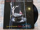 Panic  At The Disco - All My Friends We're Glorious: Death Of A Bachelor Tour LP