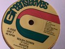 Roots , Mash Down , Solja Man Skank    ,  7” Greensleeves