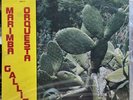MARIMBA ORQUESTA GALLITO “ LA CUMBIA COQUETA “ Lp VG GUATEMALA TIKAL