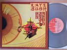 KATE BUSH The Kick Inside - RARE 1978 Grey Silver Colour Dutch Netherlands Vinyl