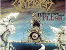 Cryptopsy Blasphemy Made Flesh LP Dissection Entombed Carcass Suffocation Nile