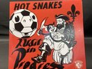 HOT SNAKES - Audit In Progress [vinyl]