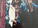Vinyl Record Japan | Lenny Kravitz 
