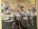REX ORANGE COUNTY – WHO CARES? - VINYL LTD ED LENTICULAR 150G BLACK - NEW SEALED