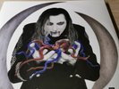 A Perfect Circle Eat the Elephant  Double Vinyl Lp