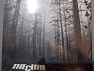 The Cure 12