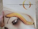 Thirteenth Step by A Perfect Circle (Record, 2014) 2x LP