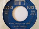 Northern Soul 45 JOHNNY SUMMERS Is The Feeling Still There/Prove It To Me HEAR