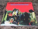 ACID MOTHERS TEMPLE - Have You Seen - 2 lp - #73/500 - rare - OOP