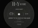 Jacsh Hardy - Journey To The Center 12