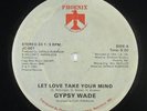 Gypsy Wade - Let Love Take Your Mind 12