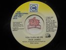 Promo  Rick James – You Turn Me On / Same, 45 RPM NM (8H)