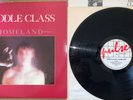 Middle Class Homeland Vinyl Pulse Records 1982 Excellent Post Punk Rare