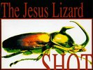 New Music The Jesus Lizard 