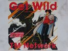 CITY HUNTER DISCO 45 giri ANIME VINYL JAPAN SIGLE CARTONI ANIMATI VINILE RPM