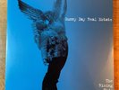 Sunny Day Real Estate 'The Rising Tide' 2x green vinyl LP record emo punk SDRE