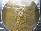 Warsaw - Warsaw - Picture Disc LP RZM 200   Rare Joy Division Record