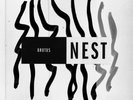 Brutus: Nest - Hassle  - (Vinyl / Pop (Vinyl))