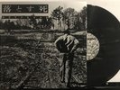 Dropdead – Dropdead LP 2002 Armageddon Label – Armageddon 002 EX/NM