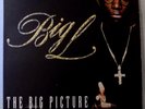BIG L - 2LP - The Big Picture 1974-1999 - Rawkus–RWK-1178 - Insert - VG+