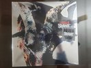 SLIPKNOT Iowa LP Translucent Green Vinyl NEW