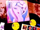 A+ MINT STICKER + SHRINK ● DEREK + DOMINOS ● LAYLA ● ERIC CLAPTON & DUANE ALLMAN